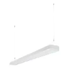 Ledvance LED Linear Pendelleuchte IndiviLED 42W 4650lm - 830  | 120x12cm - Dali Dimmbar - Direct/Indirect