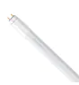 tube LED 150cm | 6500K 20W - HO